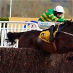 bet on horseracing